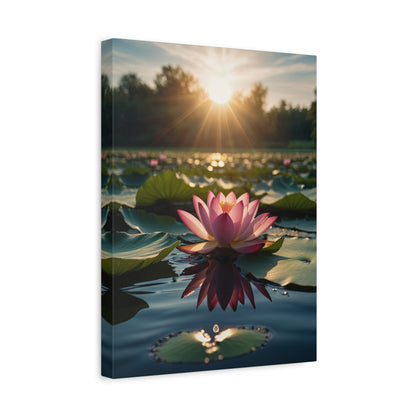 Serenity Blooms - The Elegance of Lotus