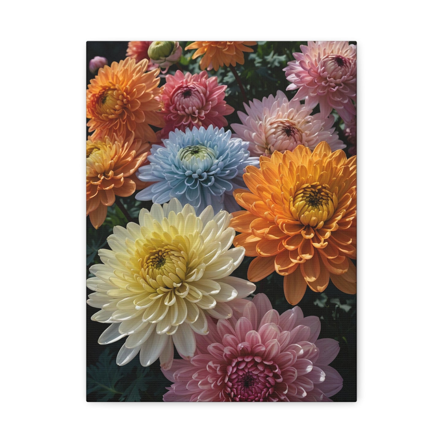 Radiant Reverie - The Majesty of Chrysanthemums