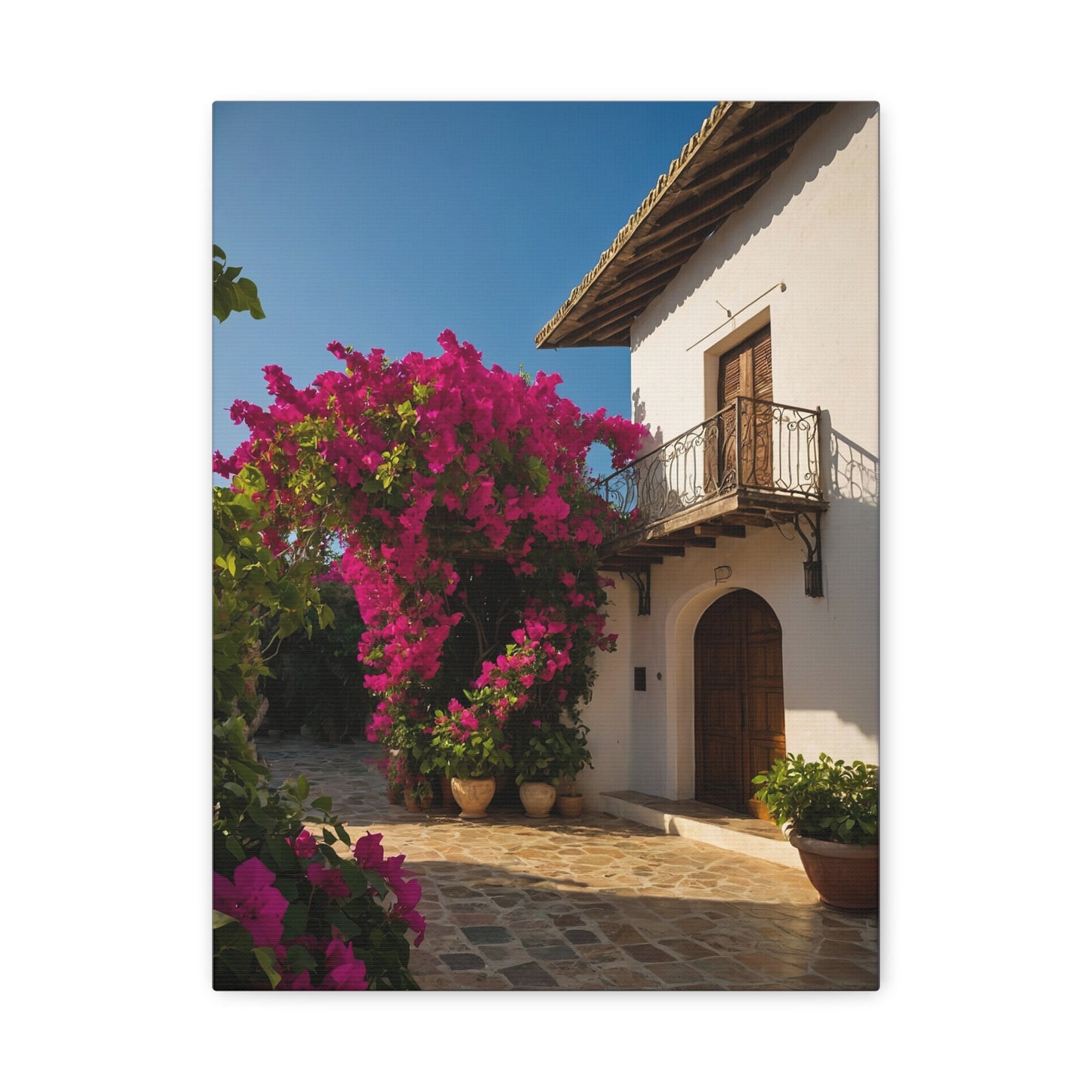 Cascading Color - The Splendor of Bougainvillea