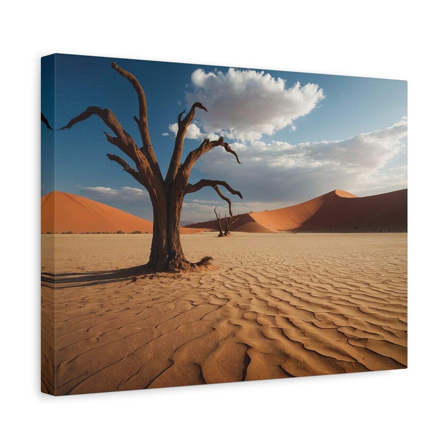 Desert Mirage Oasis - Sossusvlei, Namibia