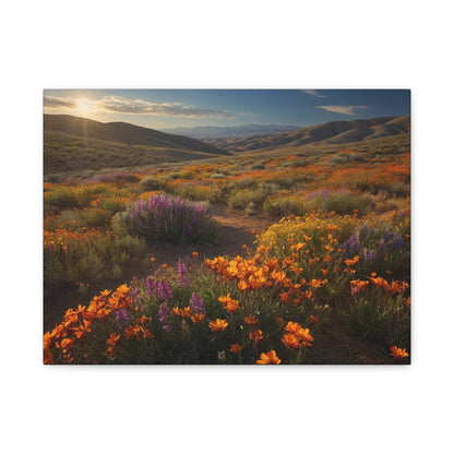 Wildflower Wonderland - Antelope Valley, California, USA