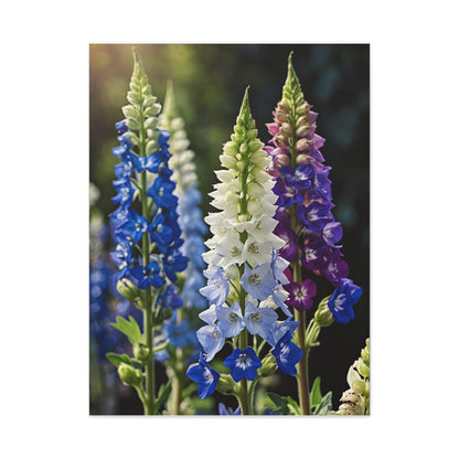 Delphinium Flowers Towering Spires