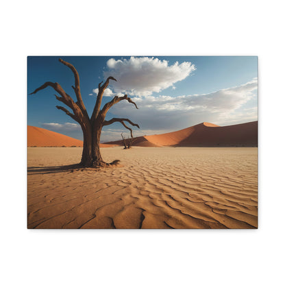 Desert Mirage Oasis - Sossusvlei, Namibia