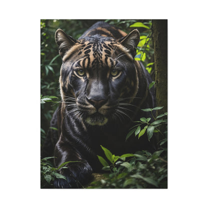 Panther's Domain - A Portrait of Power in the Lush Forest