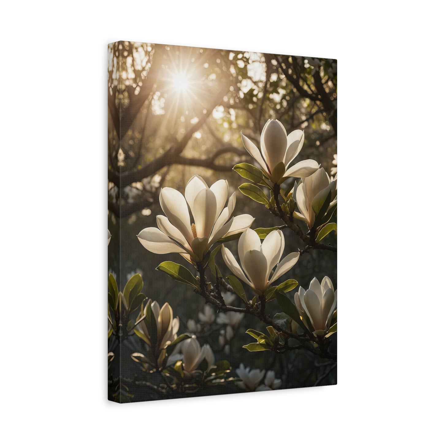 Flores de elegancia - Magnífica magnolia