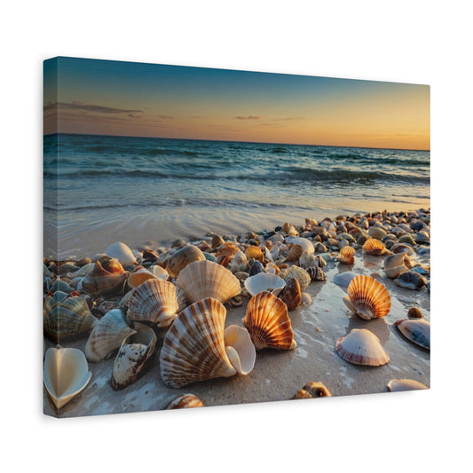 Seashell Shoreline Serenade - Shell Beach, Shark Bay, Australia