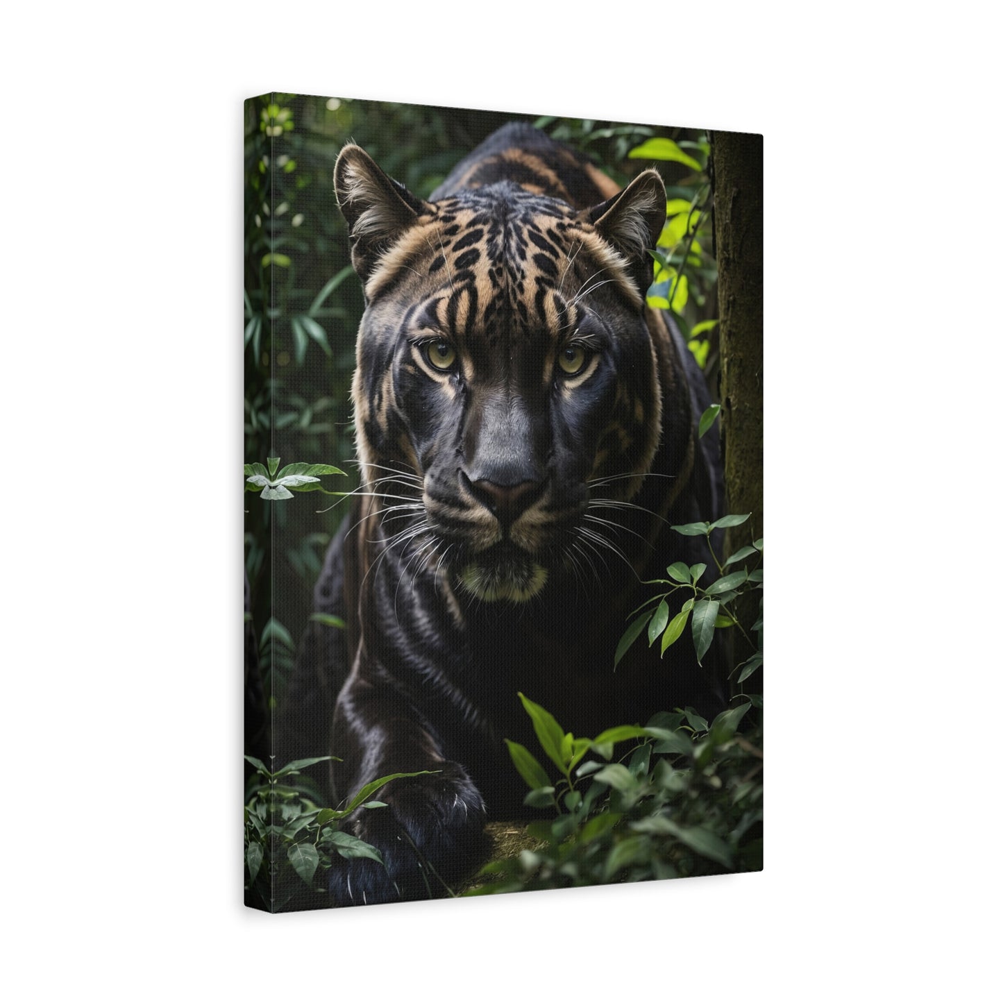 Panther's Domain - A Portrait of Power in the Lush Forest