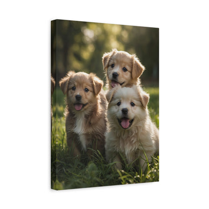 Puppy Paradise - Portrait of Playful Pups