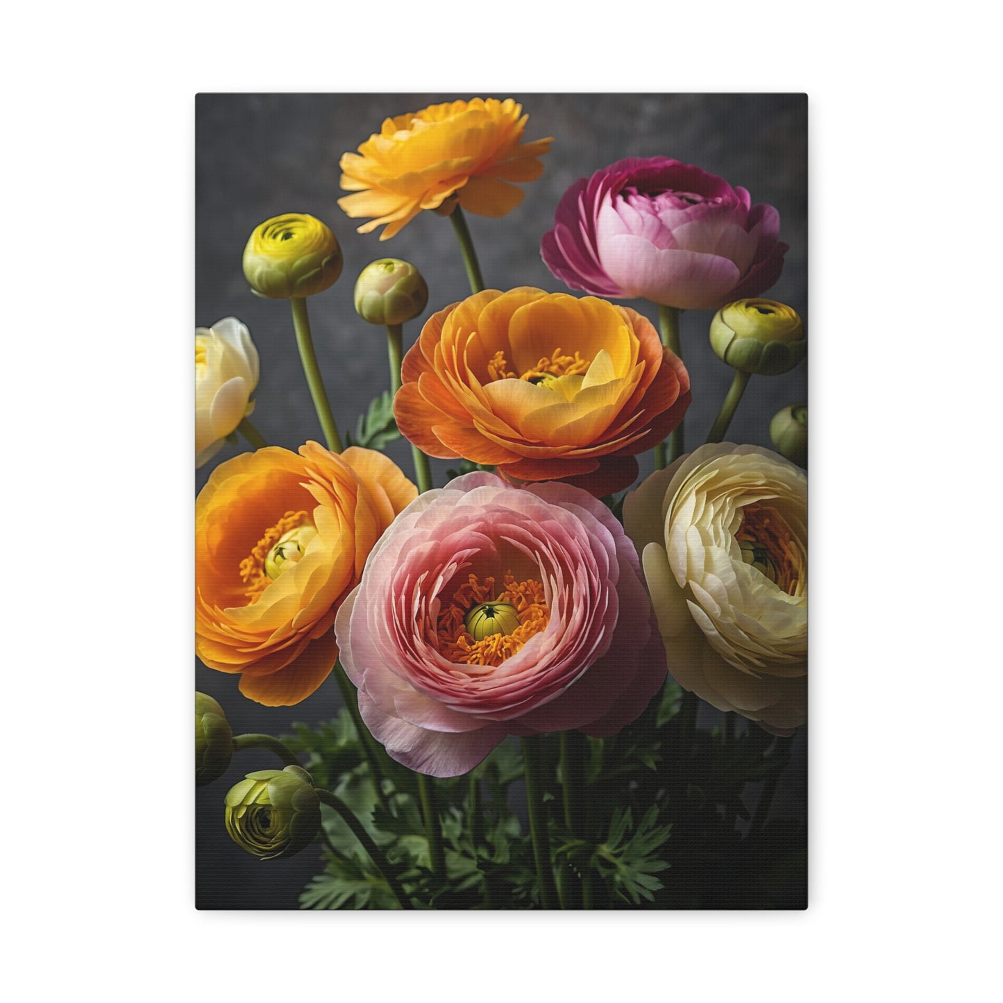 Flores de alegría - El resplandor de Ranunculus