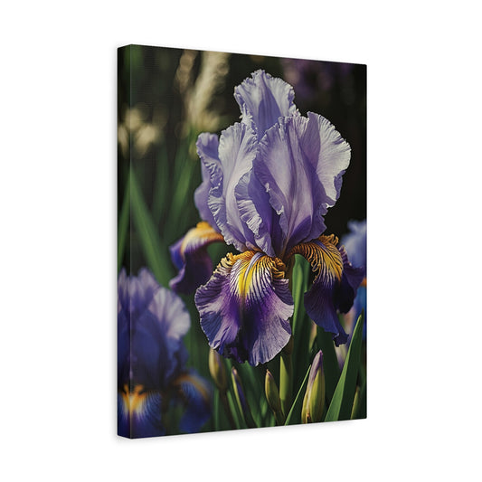 Serenity in Bloom - The Elegance of Iris