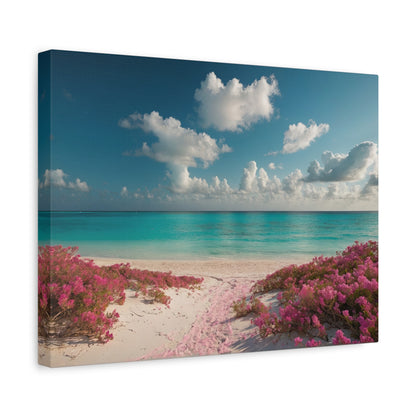 Pink Sands Beach - Harbour Island, Bahamas