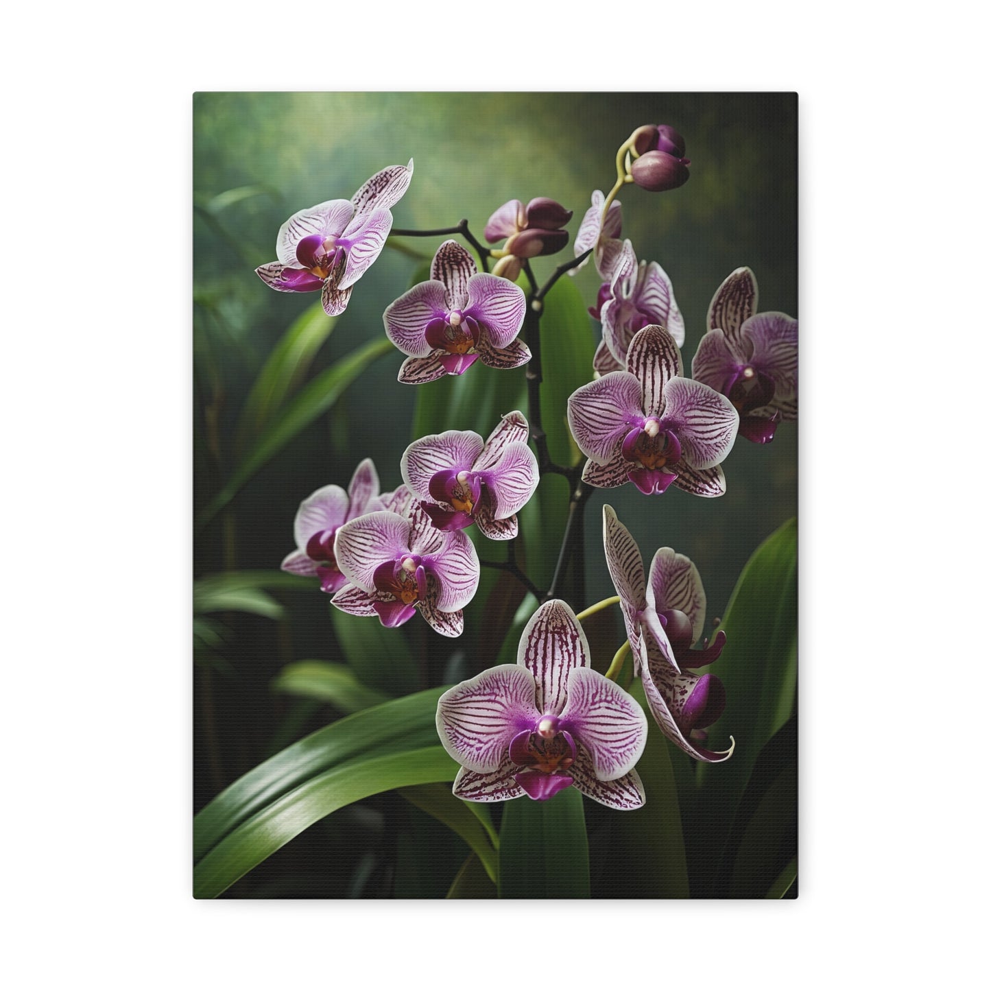 Serenade of Orchids - Nature's Elegance Unveiled