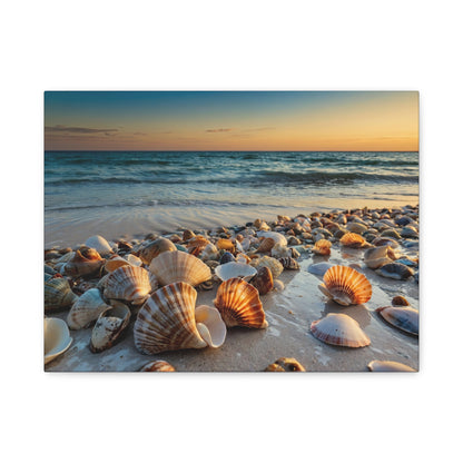 Seashell Shoreline Serenade - Shell Beach, Shark Bay, Australia