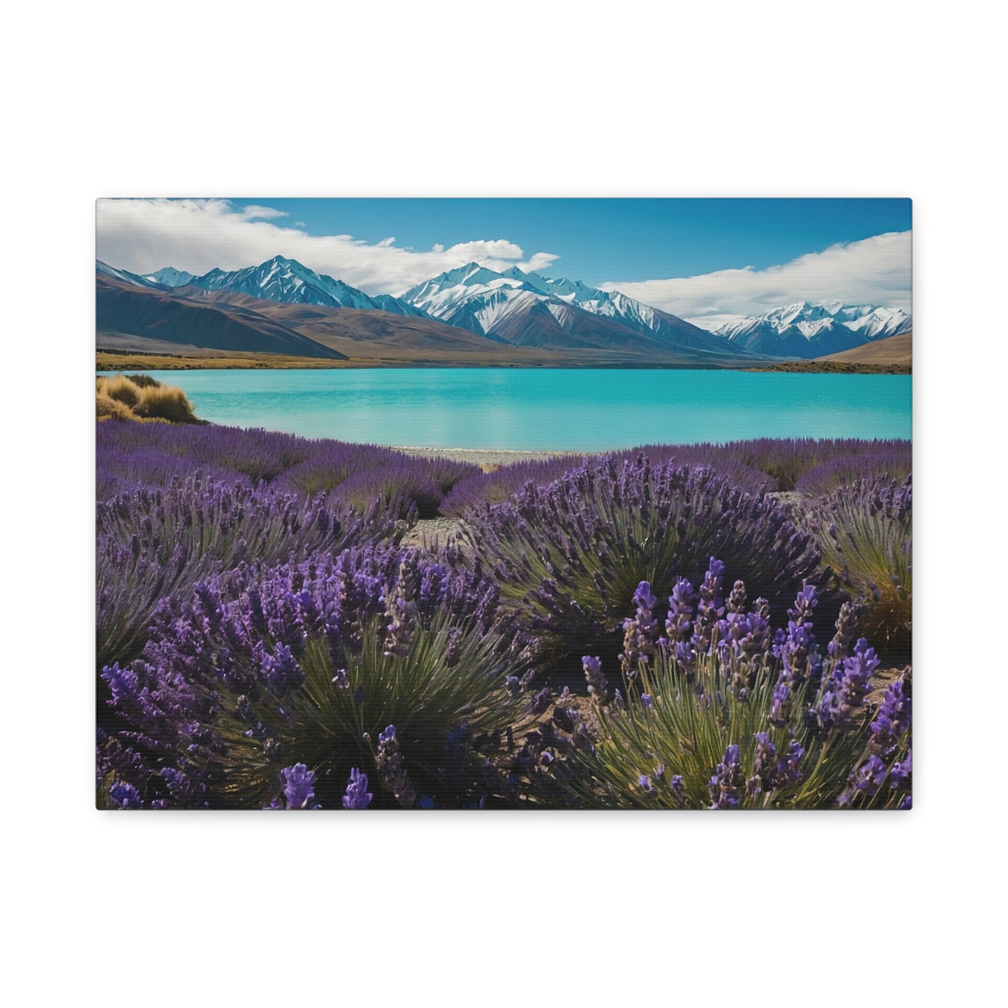 Lavender Lakeside Escape - Lake Tekapo, New Zealand