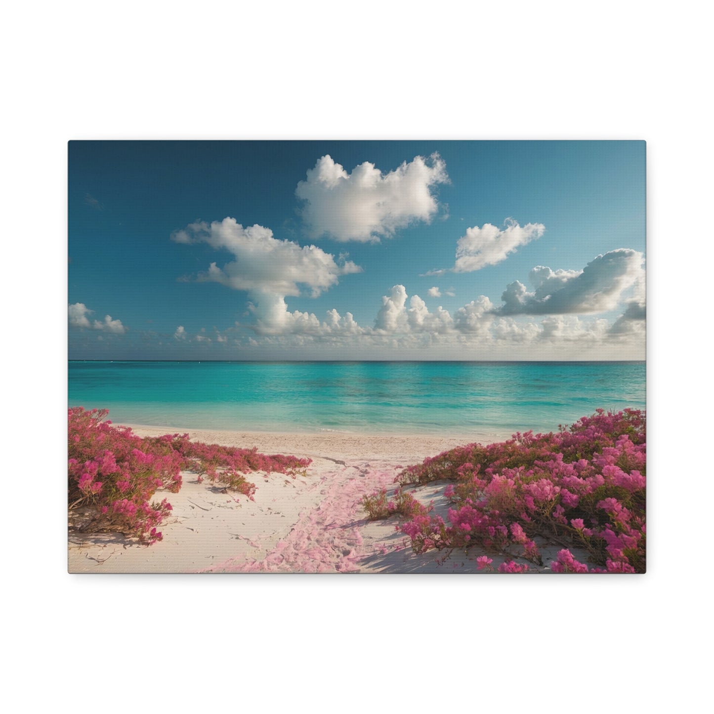 Pink Sands Beach - Harbour Island, Bahamas