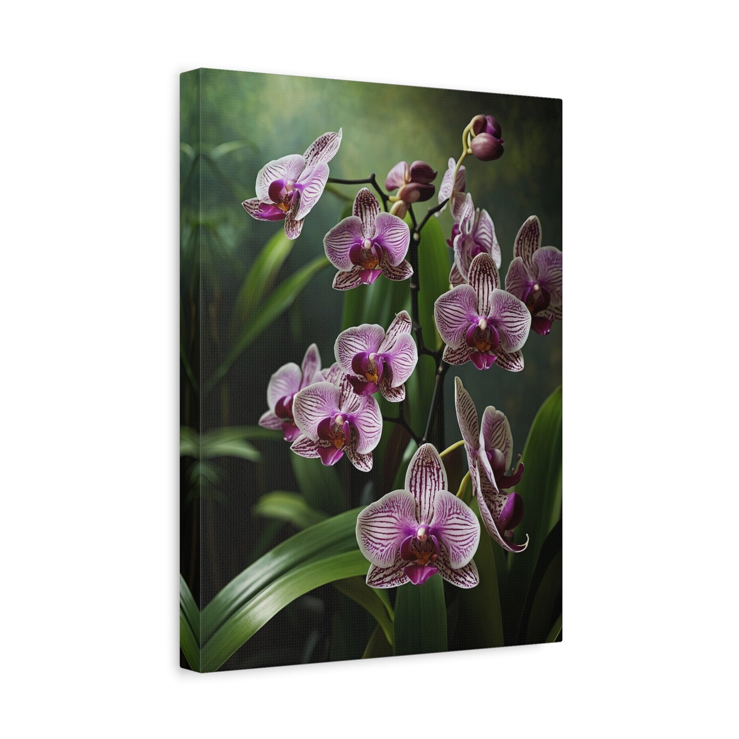 Serenade of Orchids - Nature's Elegance Unveiled