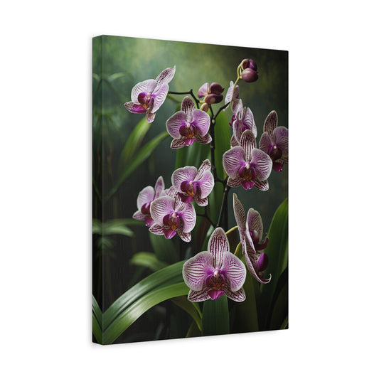 Serenade of Orchids - Nature's Elegance Unveiled